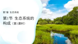 第1节 生态系统的构成 第1课时 课件 生物苏教版（2024）七年级下册