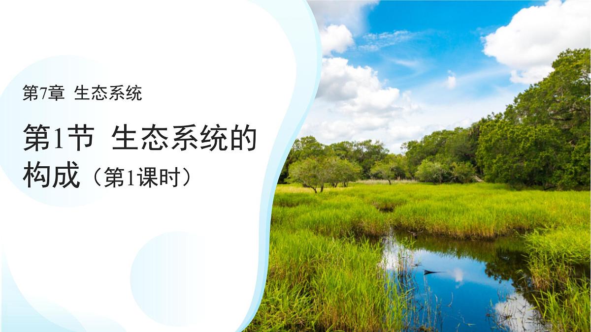第1节 生态系统的构成 第1课时 课件 生物苏教版(2024)七年级下册第1页