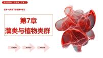 第7章 藻类与植物类群（复习课件） 2025学年七年级生物下学期期中考点大串讲（苏科版2024）