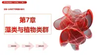 第7章 藻类与植物类群（复习课件） 2025学年七年级生物下学期期中考点大串讲（苏科版2024）