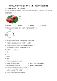 2025年江苏省盐城市射阳县八年级中考一模生物试题（原卷版+解析版）