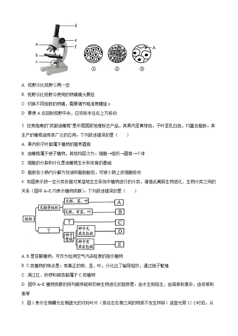 2025年山东省菏泽市巨野县九年级一模生物试题(原卷版+解析版)第2页