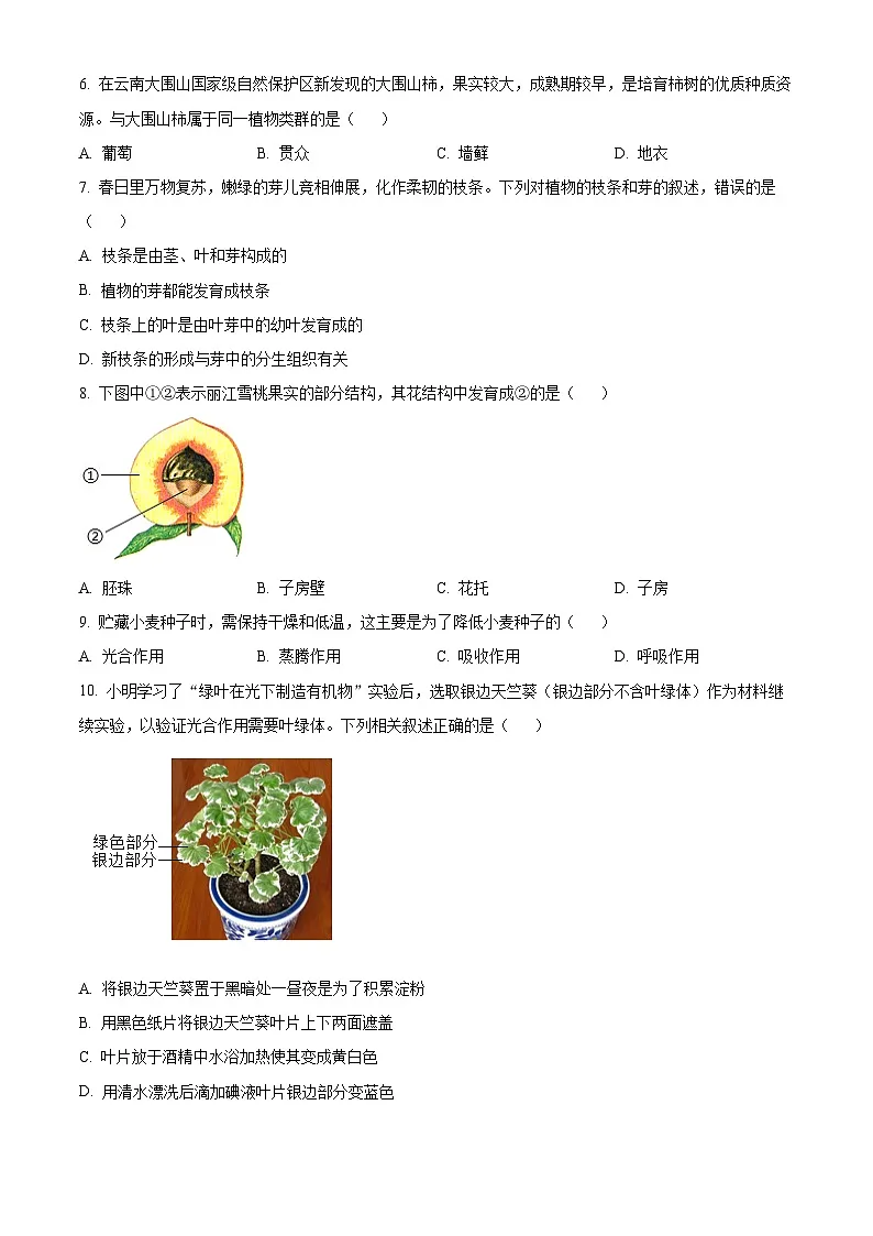 2025年云南省昆明市八年级一模生物试题(原卷版+解析版)第2页