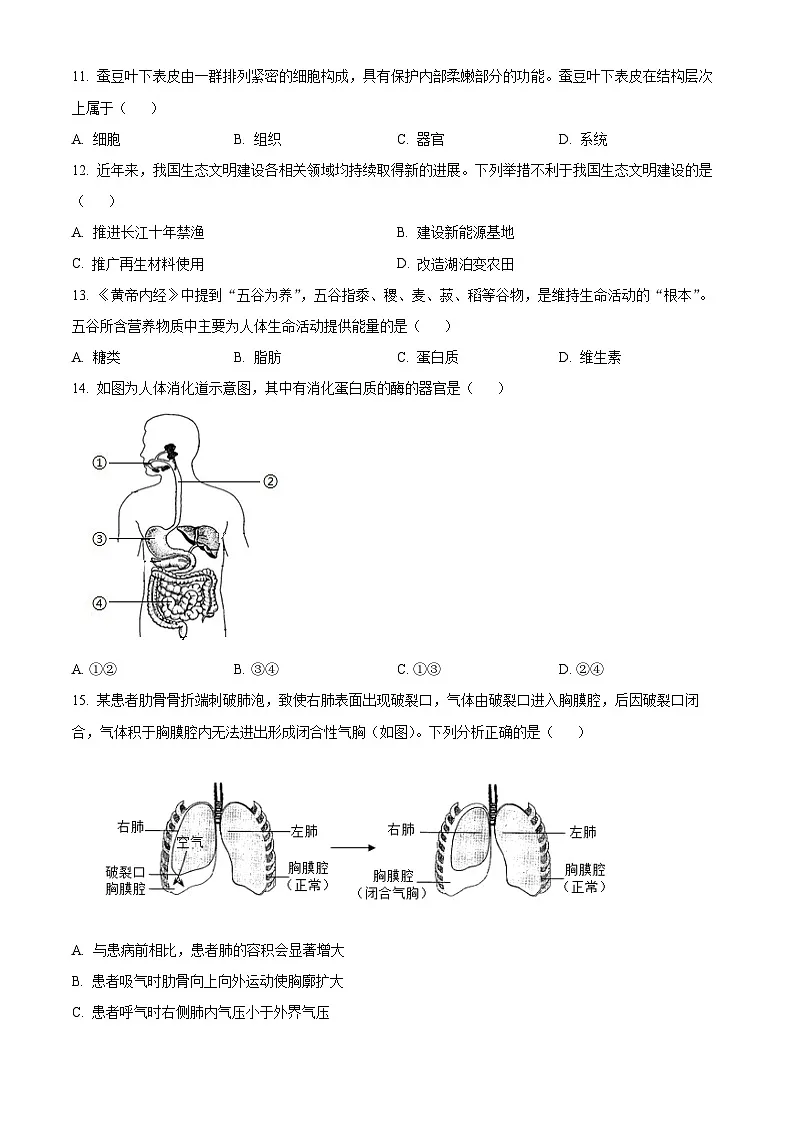 2025年云南省昆明市八年级一模生物试题(原卷版+解析版)第3页