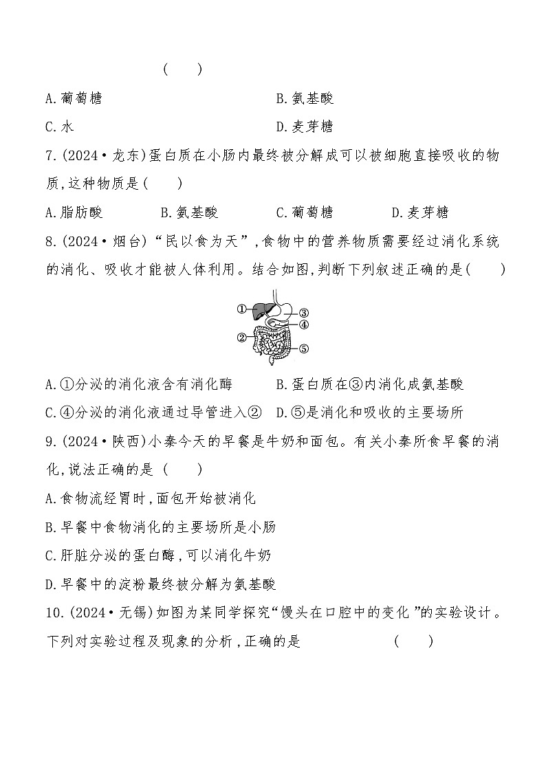 第10讲 人体的营养 2025年会考初中生物学专题练习(含答案)第2页