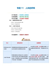 专题11 人体的呼吸(讲义)-2025年中考生物一轮复习