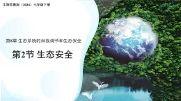 8.2 生态安全 课件 生物苏教版（2024）七年级下册第八章