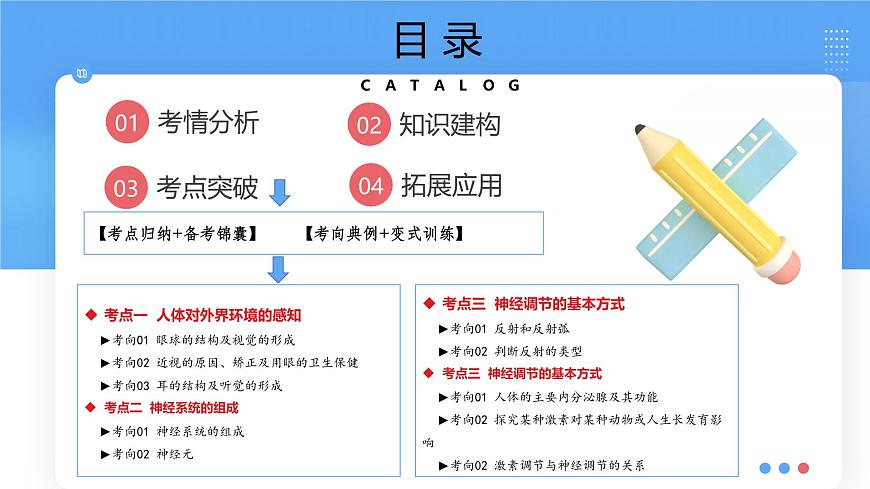 专题14 人体生命活动的调节(课件)-2025年中考生物一轮复习第2页