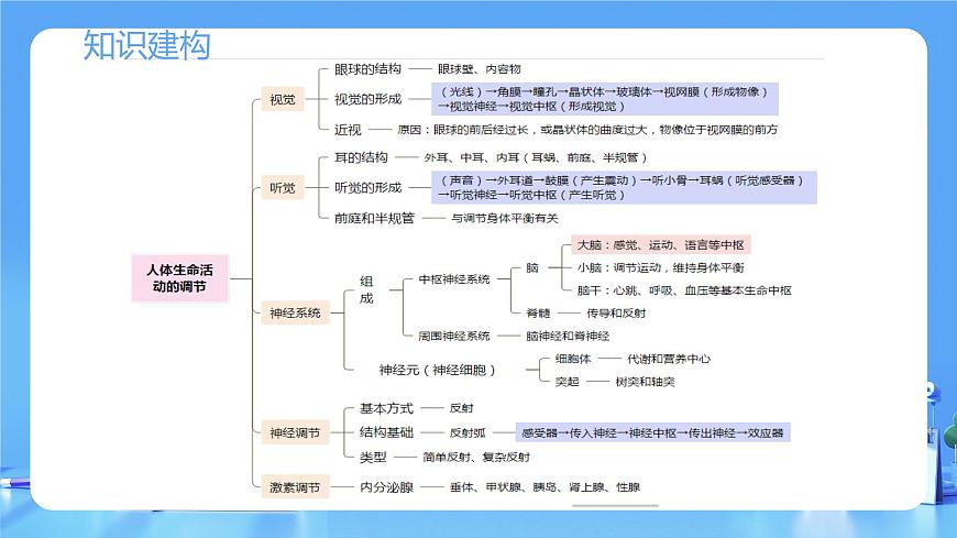 专题14 人体生命活动的调节(课件)-2025年中考生物一轮复习第6页