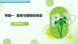 專題一 藻類與植物的類群 2025學年六年級生物下學期期中考點大串講（魯科版五四學制2024）課件