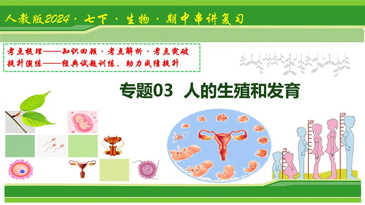 专题03 植物体内的物质与能量变化 2025学年七年级生物下学期期中考点大串讲(人教版2024)课件第1页