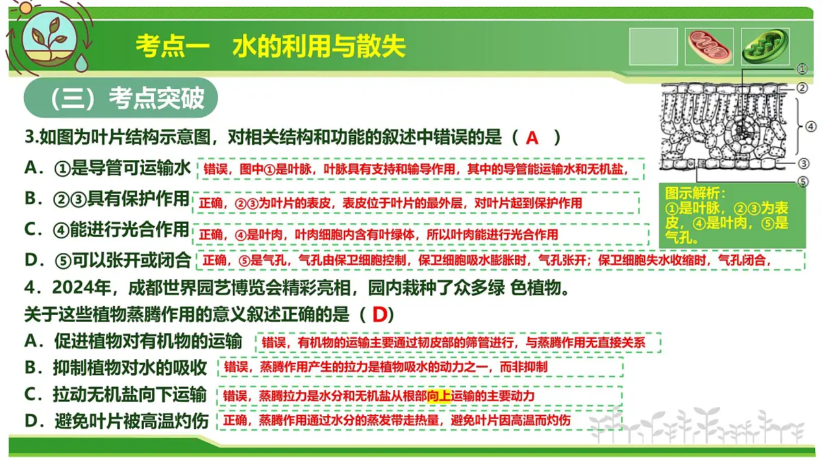 专题02 植物体内的物质与能量变化 2025学年七年级生物下学期期中考点大串讲(人教版2024)课件第8页