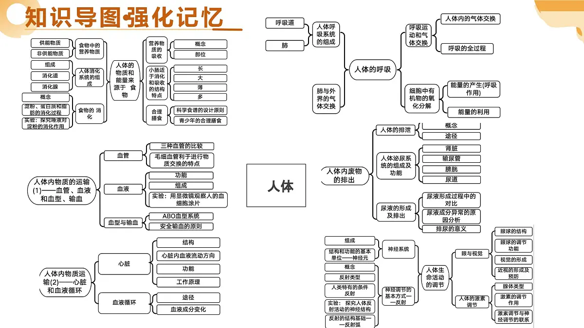 主题五 人体生理与健康(一)(二轮突破课件)2025年中考生物二轮复习讲练测(江苏专用)课件第4页