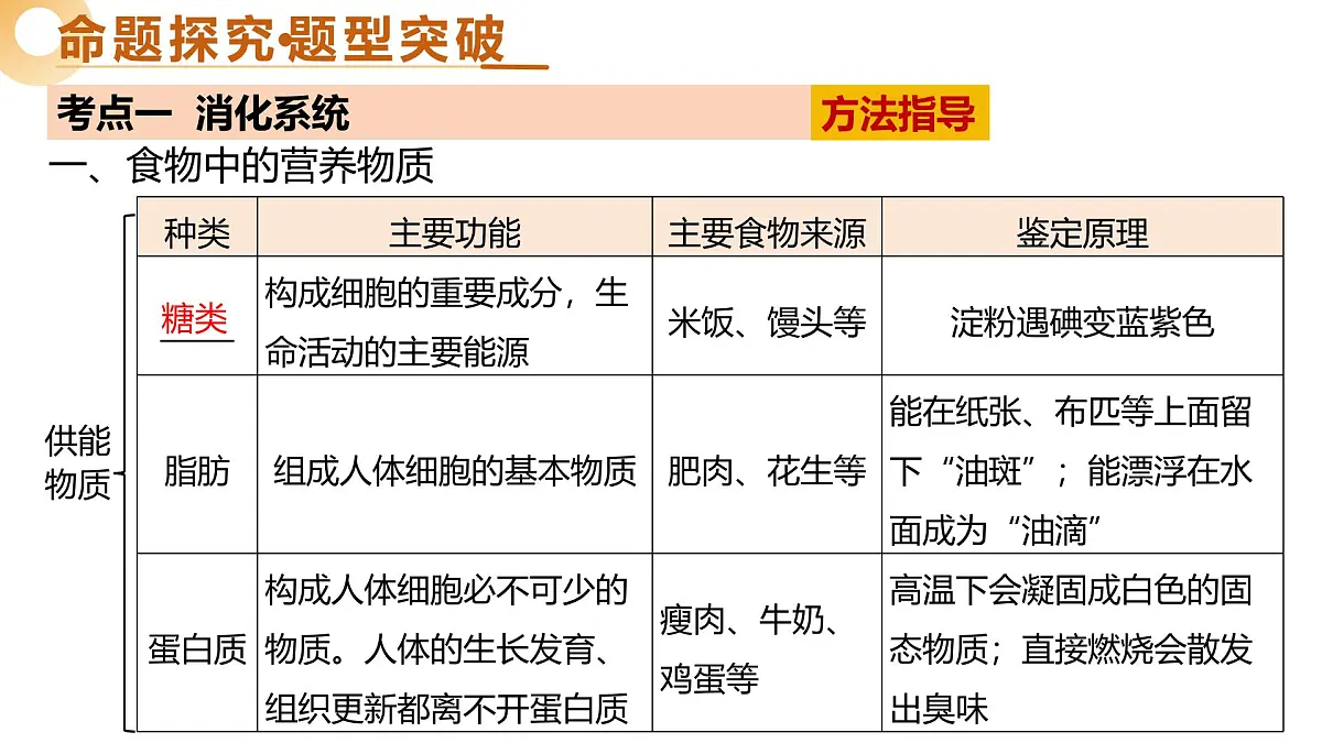 主题五 人体生理与健康(一)(二轮突破课件)2025年中考生物二轮复习讲练测(江苏专用)课件第8页