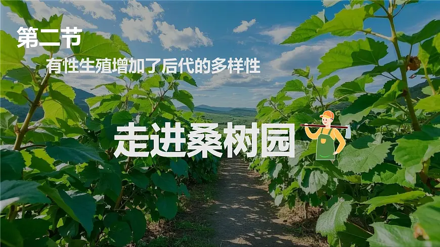 4.1.2 有性生殖增加了后代的多样性 2025学年七年级下册生物课件(济南版2024)第1页