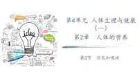 人教版（2024）七年级下册（2024）消化和吸收教课课件ppt