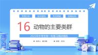 专题16 动物的主要类群（课件）-2025年中考生物一轮复习