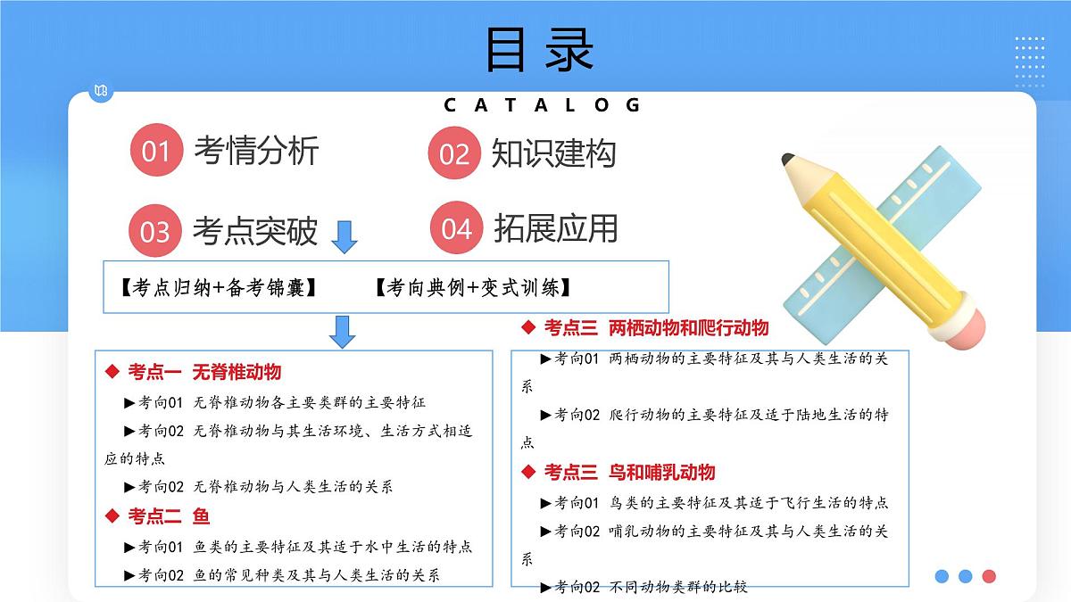 专题16 动物的主要类群(课件)-2025年中考生物一轮复习第2页