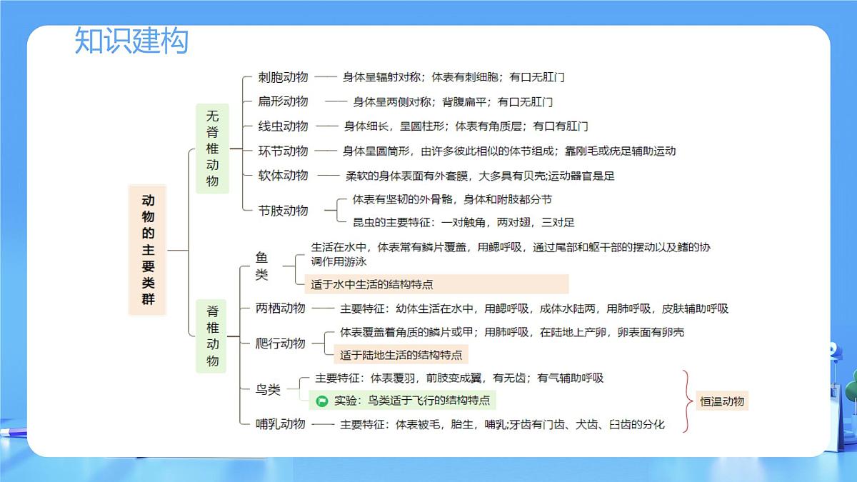 专题16 动物的主要类群(课件)-2025年中考生物一轮复习第6页