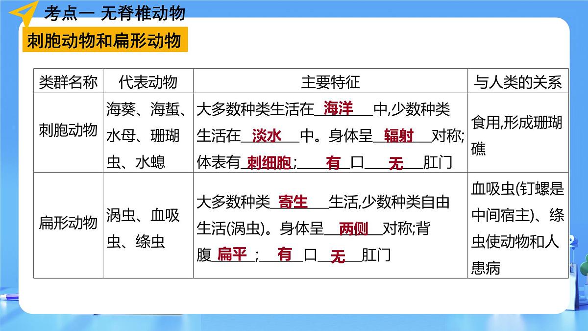 专题16 动物的主要类群(课件)-2025年中考生物一轮复习第8页