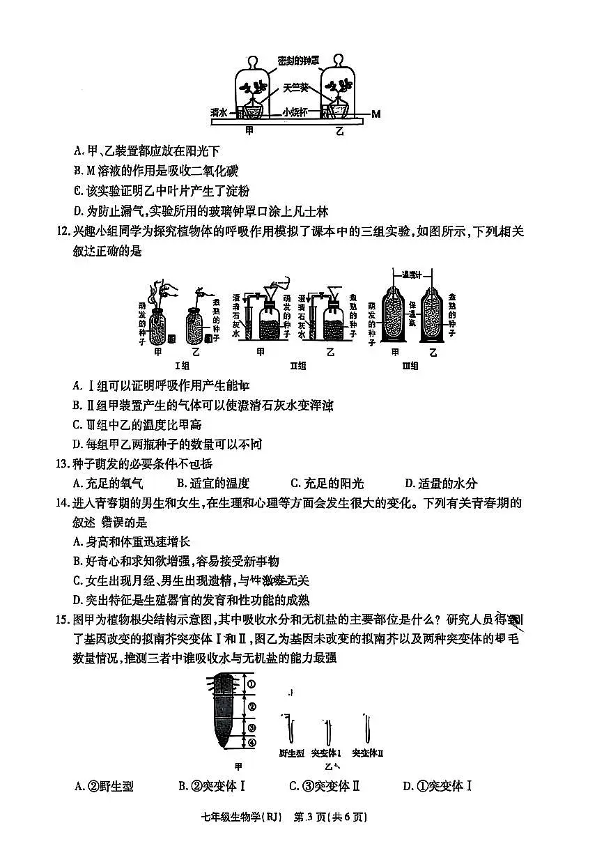 思礼镇河南济源人教版2024年—2025年初中生物七年级下学期期中生物试卷第3页