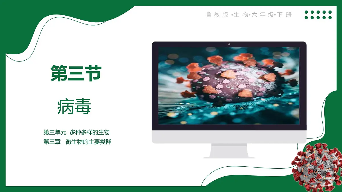3.3.4 病毒(课件)-2024-2025学年六年级生物下册(鲁科版五四学制2024)第1页