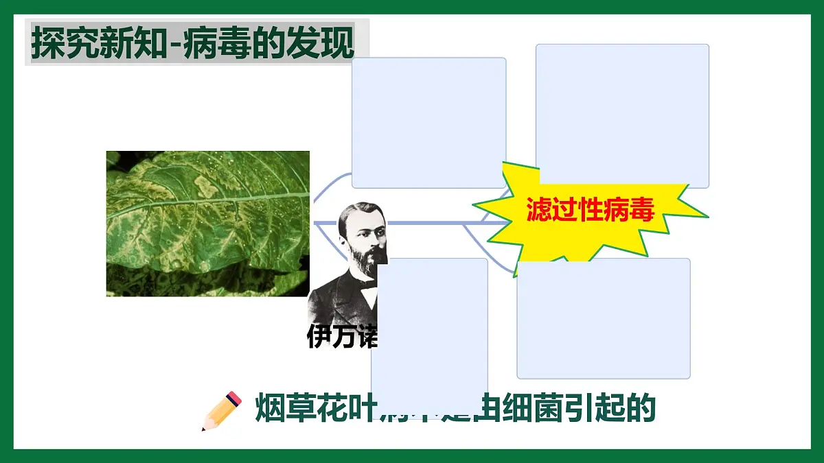 3.3.4 病毒(课件)-2024-2025学年六年级生物下册(鲁科版五四学制2024)第5页