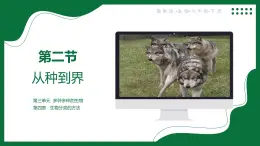 3.4.2 從種到界（課件）-2024-2025學年六年級生物下冊（魯科版五四學制2024）