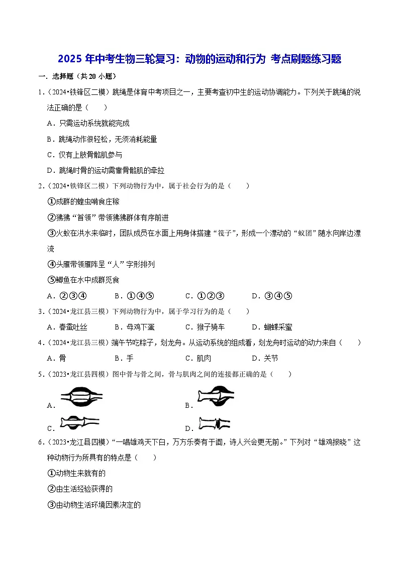 2025年中考生物三轮复习:动物的运动和行为 考点刷题练习题(含答案解析)第1页