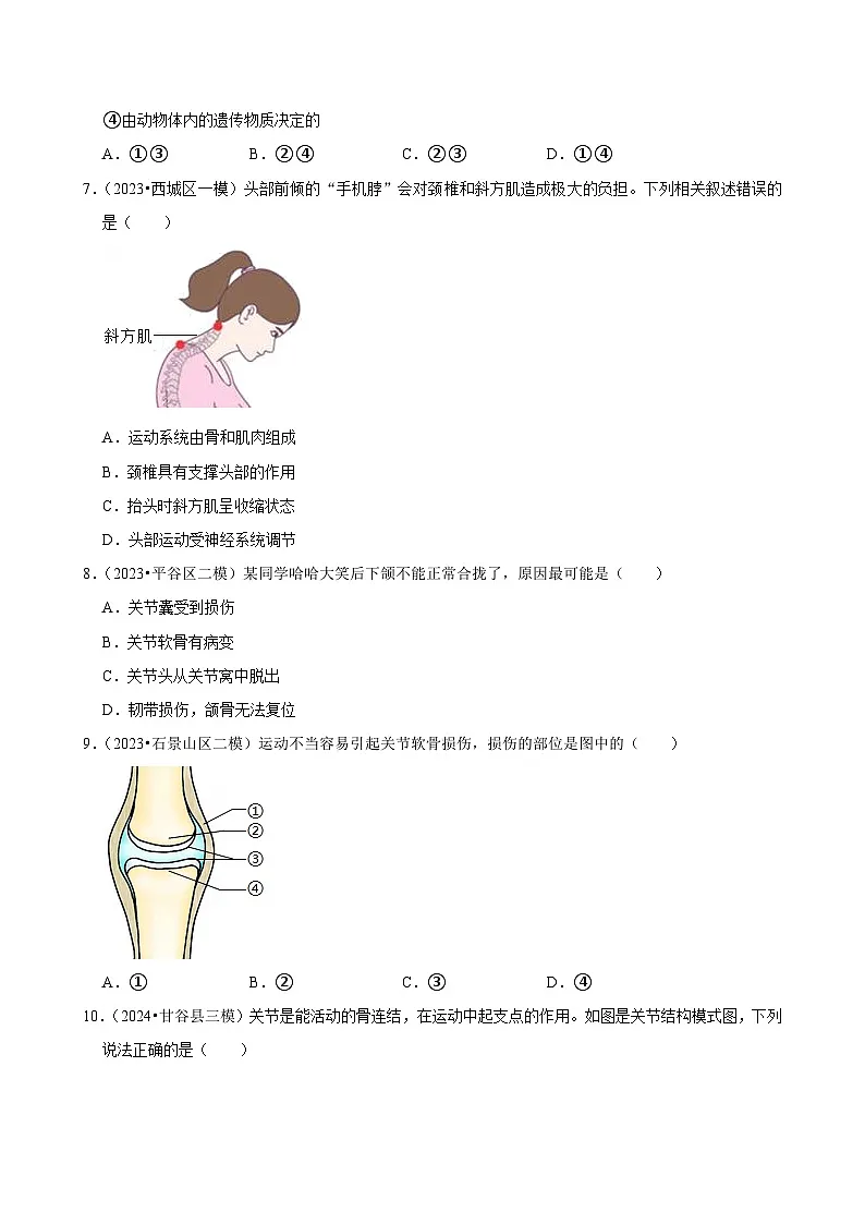 2025年中考生物三轮复习:动物的运动和行为 考点刷题练习题(含答案解析)第2页
