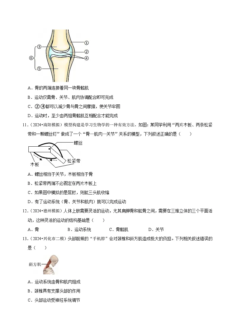 2025年中考生物三轮复习:动物的运动和行为 考点刷题练习题(含答案解析)第3页