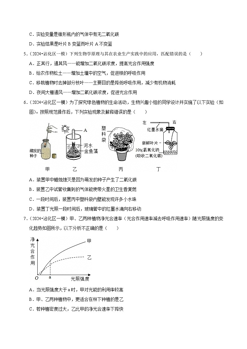 2025年中考生物三轮复习:植物的三大生理作用 考点刷题练习题(含答案解析)第2页