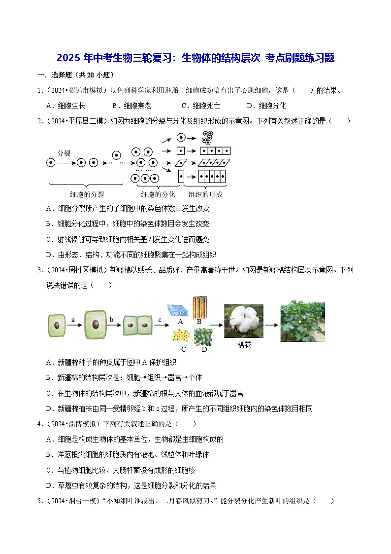 2025年中考生物三轮复习:生物体的结构层次 考点刷题练习题(含答案解析)第1页