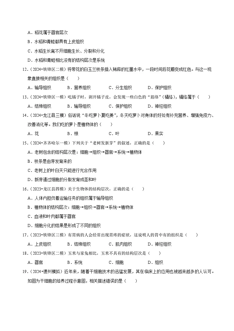 2025年中考生物三轮复习:生物体的结构层次 考点刷题练习题(含答案解析)第3页