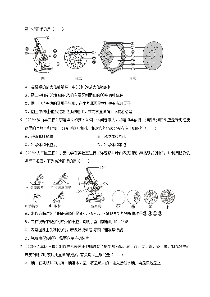 2025年中考生物三轮复习:细胞 考点刷题练习题(含答案解析)第2页