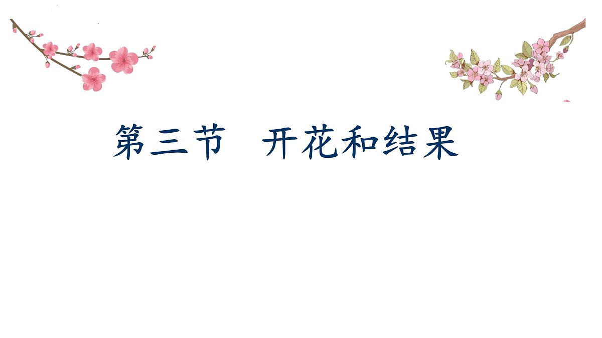 初中生物人教版(2024)七年级下册3.1.3 开花和结果 课件第1页