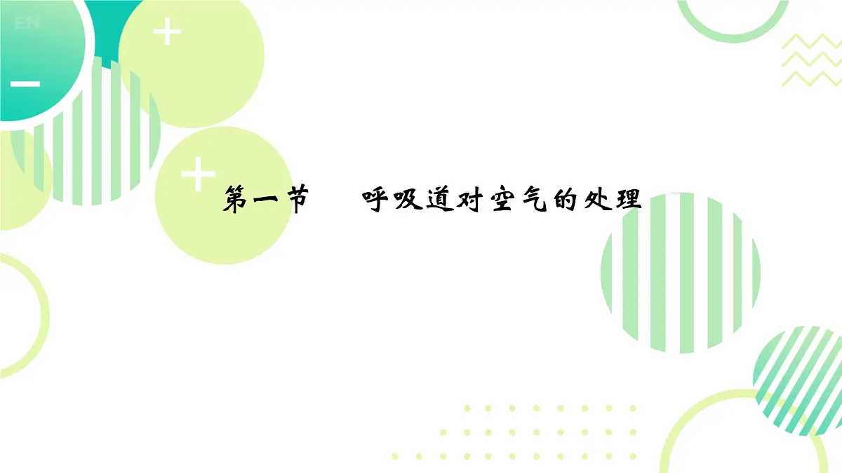 初中生物人教版(2024)七年级下册4.3.1 呼吸道对空气的处理 课件第1页