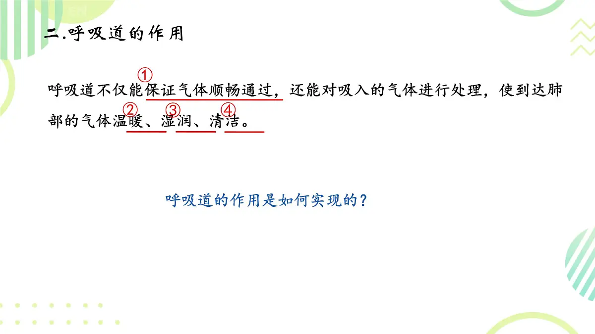 初中生物人教版(2024)七年级下册4.3.1 呼吸道对空气的处理 课件第5页