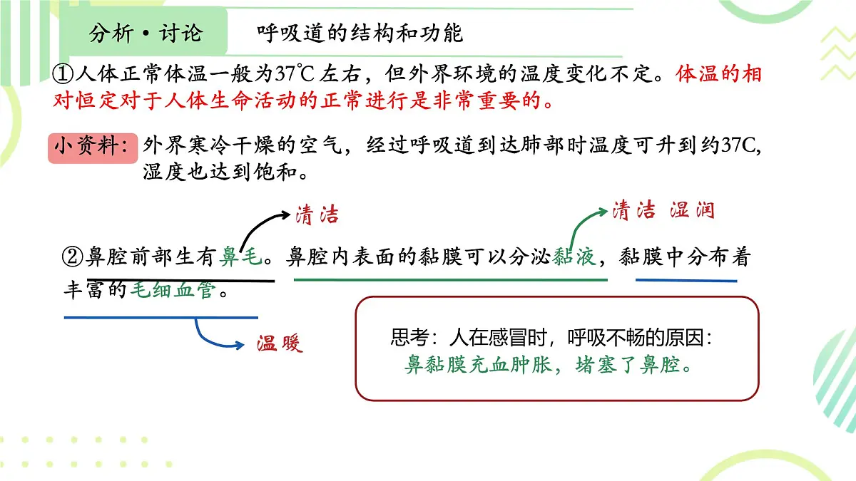 初中生物人教版(2024)七年级下册4.3.1 呼吸道对空气的处理 课件第6页
