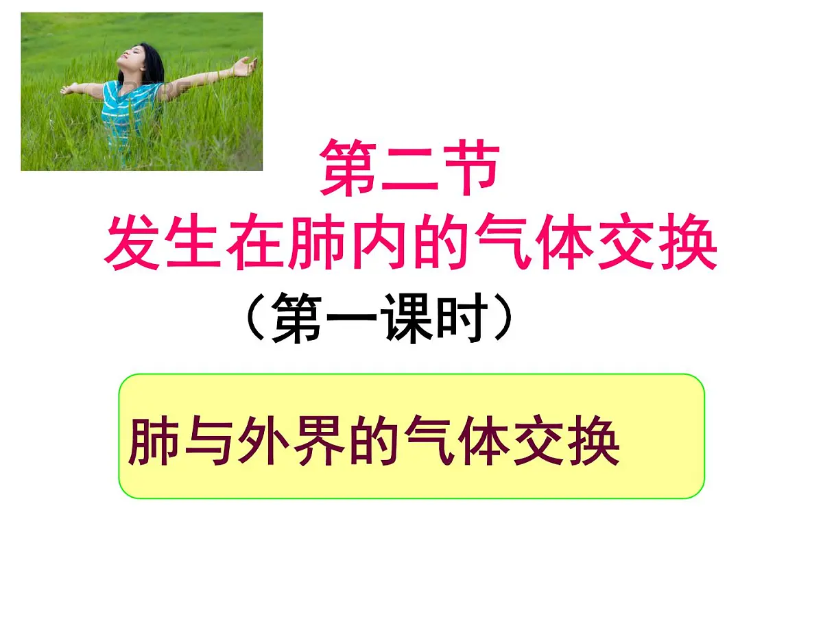 初中生物人教版(2024)七年级下册4.3.2 发生在肺内的气体交换 课件第1页