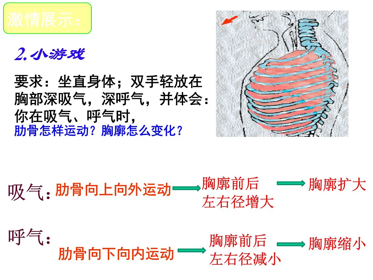 初中生物人教版(2024)七年级下册4.3.2 发生在肺内的气体交换 课件第6页