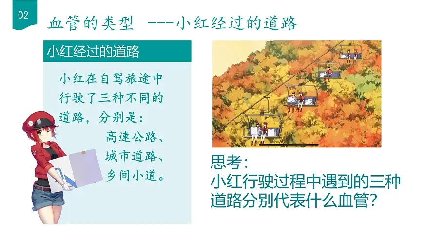 初中生物人教版(2024)七年级下册4.4.2 血流的管道——血管 课件第6页