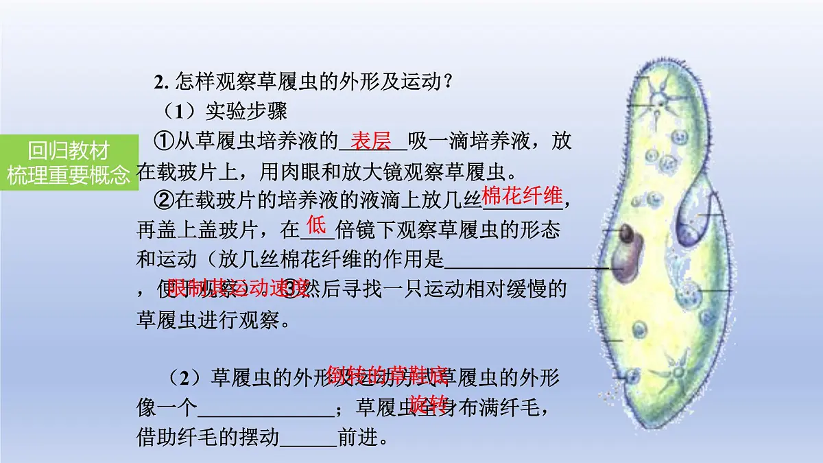 2025年初中生物会考一轮复习课件:第5讲 生物体的结构层次第7页