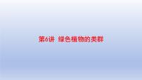 2025年初中生物会考一轮复习课件:第6讲 绿色植物的类群