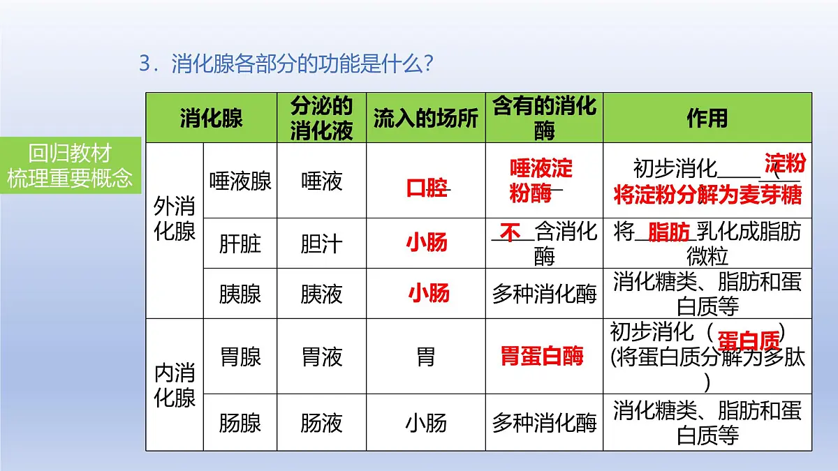 2025年初中生物会考一轮复习课件:第14讲 消化和吸收第5页