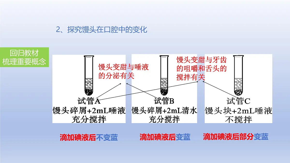 2025年初中生物会考一轮复习课件:第14讲 消化和吸收第7页