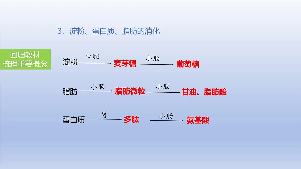 2025年初中生物会考一轮复习课件:第14讲 消化和吸收第8页