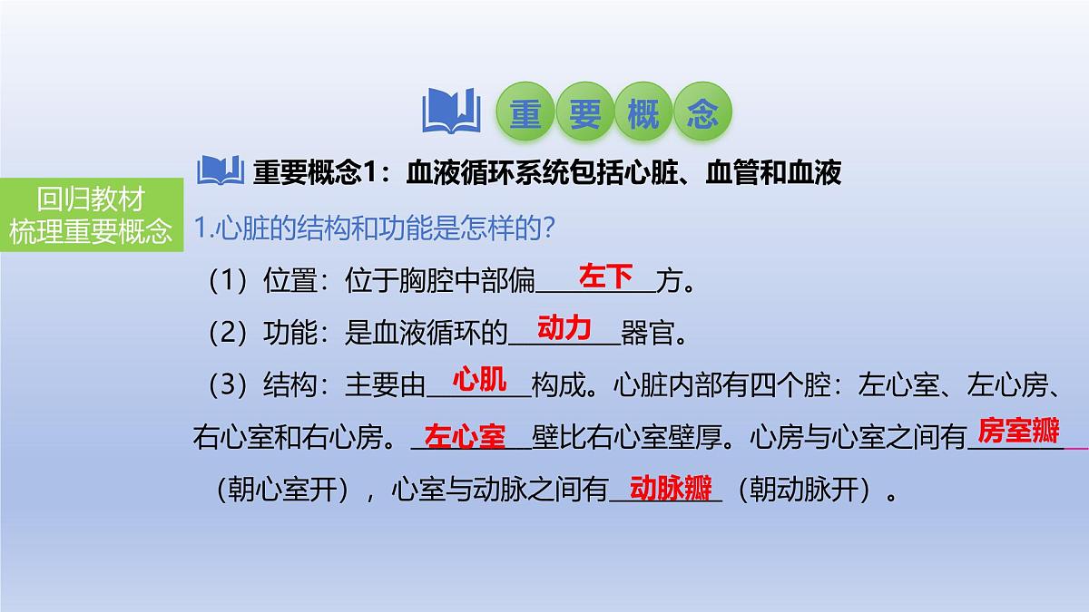2025年初中生物会考一轮复习课件:第17讲 心脏和血液循环第3页