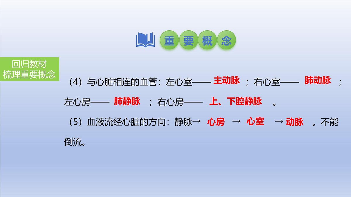 2025年初中生物会考一轮复习课件:第17讲 心脏和血液循环第5页
