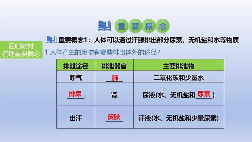 2025年初中生物會考一輪復習課件：第18講 人體內(nèi)廢物的排出第3頁